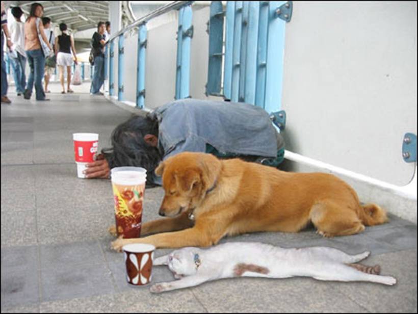 Picture of the bad economy
