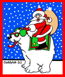 Funny Christmas Card Image