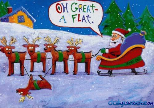 Funny Christmas Card Image