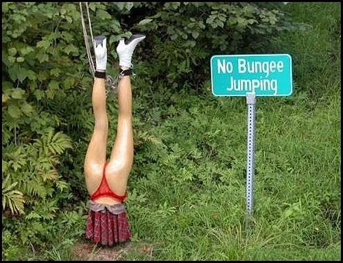 Funny bungee jumping picture